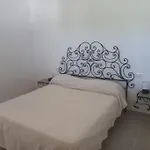 Molillo